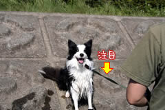 05091404.jpg