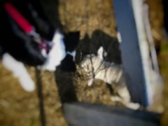 06031101.jpg