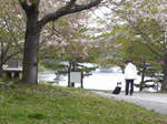 06041602.jpg