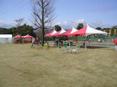 06041606.jpg