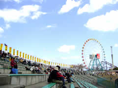 06041608.jpg
