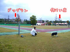06041613.jpg