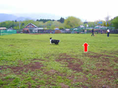 06050305.jpg