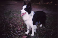 06062701.jpg
