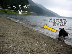 06071601.jpg