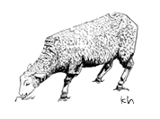06090502.gif