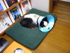06120409.jpg