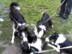 07032402.jpg