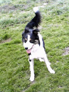 07032404.jpg
