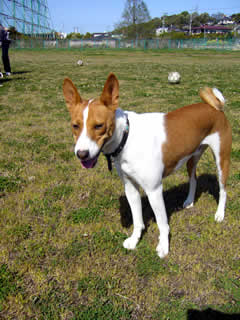07041403.jpg