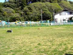 07041406.jpg