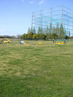 07041407.jpg