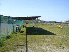 07041409.jpg