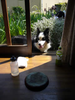 07050301.jpg