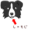 07060302.gif