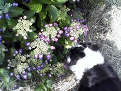 07060603.jpg