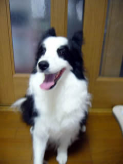 07072202.jpg