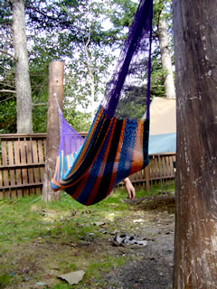 07090905.jpg