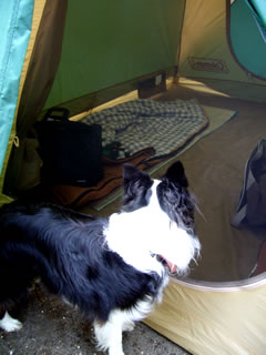 07090908.jpg