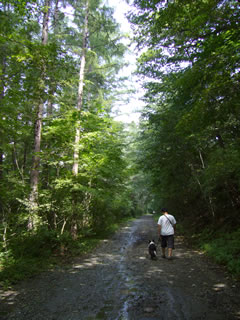 07090913.jpg