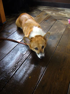 07100805.jpg