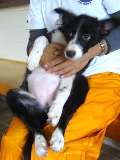 07100808.jpg