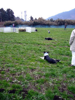 07122202.jpg