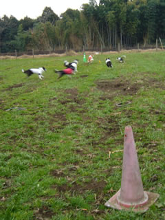 07122207.jpg