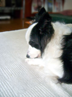08040101.jpg