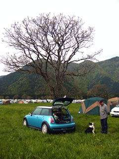 08050501.jpg