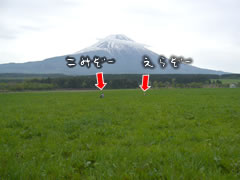 08050502.jpg