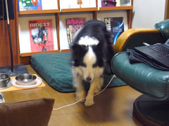09042102.jpg