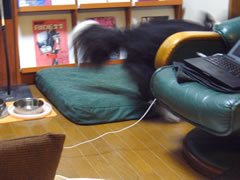 09042104.jpg
