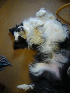 09092101.jpg