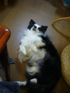 09092102.jpg