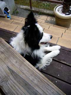 09092402.jpg
