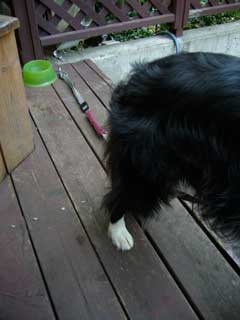 09092403.jpg