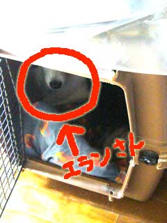 09102701.jpg