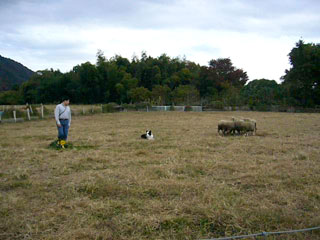 10112008.jpg